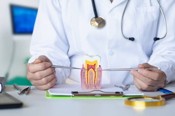 Best Emergency Care for Gum Disease in Dutch Island, GA
